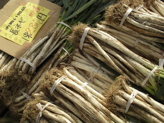 141123_1133_ながいも祭り（長野市松代町）