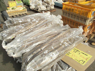 141123_1115_ながいも祭り（長野市松代町）