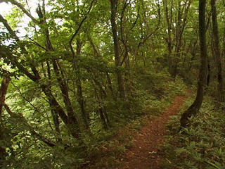 000813_0005_虫倉山登山道（旧上水内郡中条村・現長野市）
