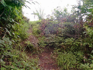 000813_0006_虫倉山登山道 山頂直下（旧上水内郡中条村・現長野市）
