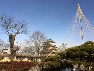 150214_0910_高島公園（諏訪市）