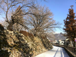 150214_0918_高島公園（諏訪市）