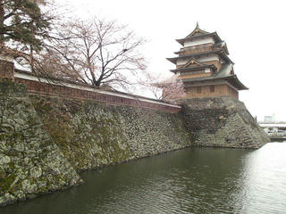 150411_0920_高島公園に咲くサクラ（諏訪市）