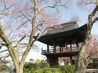 150418_0807_深叢寺のコヒガンザクラ（原村）