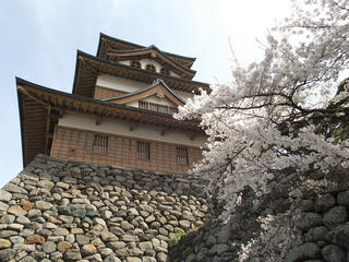 150418_0934_高島公園に咲く満開のサクラ（諏訪市）