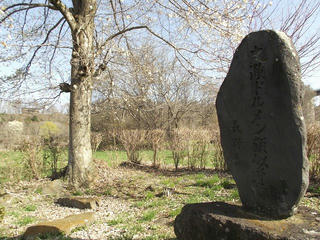150418_0757_1_ドルメン類似遺跡・坪平遺跡（富士見町）