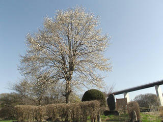150418_0757_2_ドルメン類似遺跡・坪平遺跡（富士見町）