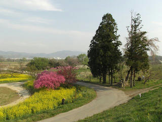 150425_0745_千曲川ふれあい公園（小布施町）