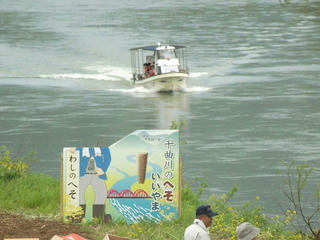 150503_1400_飯山市常盤の菜の花畑（飯山市）