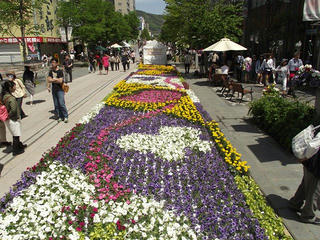 150503_1055_善光寺花回廊 ながの花フェスタ２０１５（長野市）