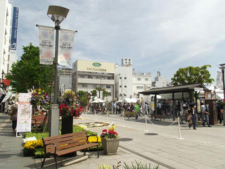 150503_0949_善光寺花回廊 ながの花フェスタ２０１５（長野市）