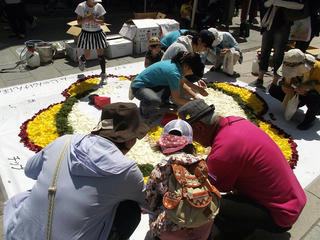 150503_1042_善光寺花回廊 ながの花フェスタ２０１５（長野市）