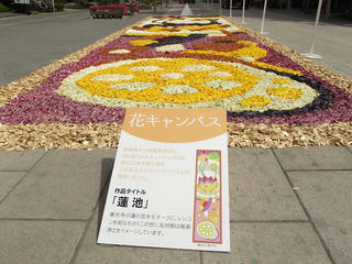 150503_0953_善光寺花回廊 ながの花フェスタ２０１５（長野市）