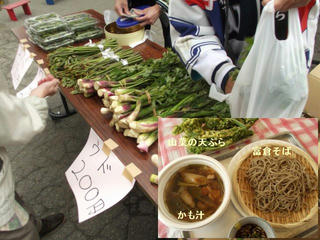 150510_1135_とみくら山菜まつり（飯山市）