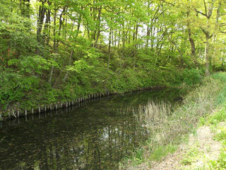 150429_0945_新府城跡・西堀（山梨県韮崎市）