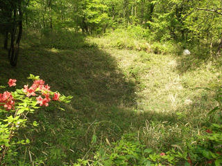 150429_0950_新府城跡・井戸跡（山梨県韮崎市）