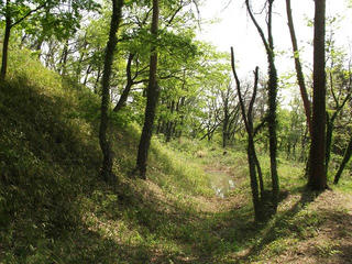 150429_1017_新府城跡・三日月堀跡（山梨県韮崎市）