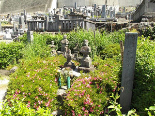 150530_0943_臨済宗（妙心寺派） 法蓋山 東光寺・諏訪頼重墓（山梨県甲府市）