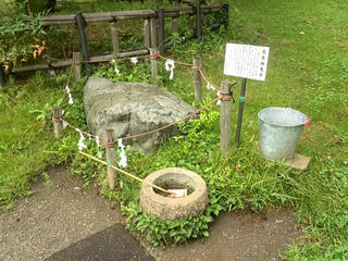 150718_0749_高島公園「亀石」（諏訪市）