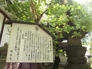 150919_1132_曹洞宗 少林山 頼岳寺（茅野市）