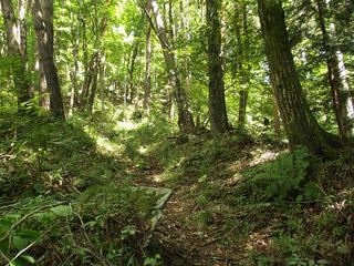 150919_1152_上原城跡（茅野市）