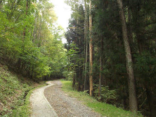 151012_1410_桑原城址（諏訪市）