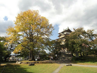 151012_1327_色付く高島公園（諏訪市）