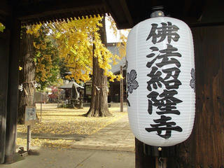 151031_1005_佛法紹隆寺のイチョウ（諏訪市）