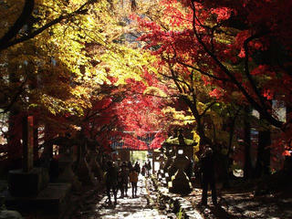 151115_1303_若穂保科・清水寺の紅葉（長野市）