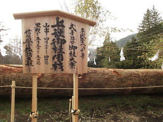 151121_1207_かやぶきの館に勢揃いした諏訪大社御柱祭に使われる上社御用材（辰野町）