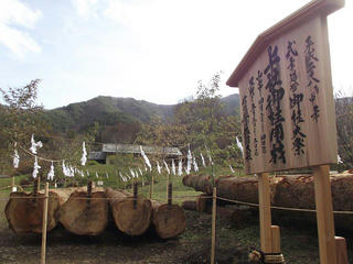 151121_1214_かやぶきの館に勢揃いした諏訪大社御柱祭に使われる上社御用材（辰野町）