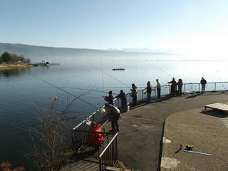151231_0929_釜口水門でワカサギ釣りを楽しむ釣り人（岡谷市）