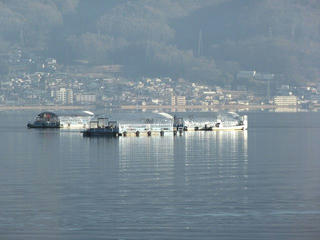 151231_0908_諏訪湖のワカサギ釣り（岡谷市）