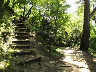 140720_0917_春日山城跡・虎口跡（新潟県上越市）