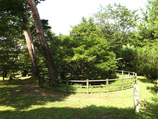 140720_0941_春日山城跡・井戸曲輪跡（新潟県上越市）