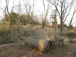 160228_1636_若神子城跡・主郭（山梨県北杜市）