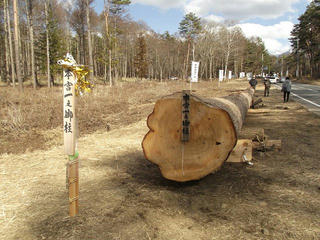 160326_1505_綱置場に安置された御柱用材（茅野市・原村境）