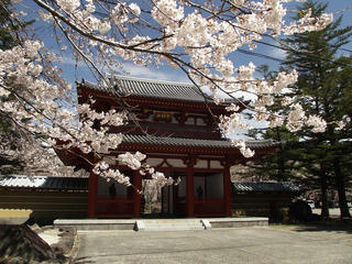 160423_1030_蓼科山聖光寺（茅野市）