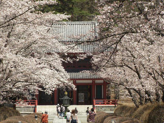 160423_1032_蓼科山聖光寺（茅野市）