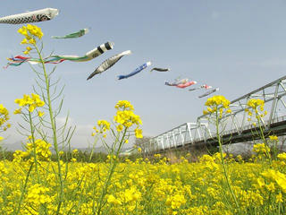 160424_0806_千曲川ふれあい公園（小布施町）