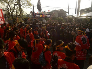 160503_0711_諏訪大社上社御柱祭「里曳き」（御柱屋敷）