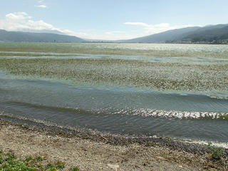 160903_1110_2_諏訪湖（岡谷市）