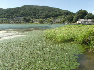 160903_1107_2_諏訪湖（岡谷市）