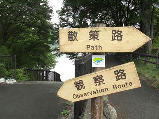 160816_1501_中央構造線 溝口露頭（伊那市長谷）