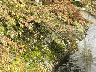 161029_1102_高島公園（諏訪市）