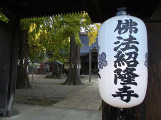 161105_0830_佛法招隆寺のイチョウ（諏訪市）