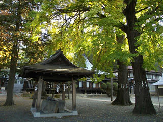 161105_0834_佛法招隆寺のイチョウ（諏訪市）