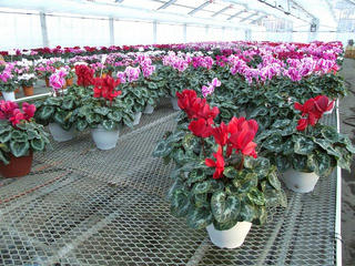 161105_1618_八ヶ岳中央農業実践大学校（原村）