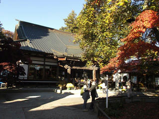 161105_1537_真言宗智山派清龍山 長圓寺（茅野市）