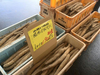 161119_1238_ながいも祭り（長野市松代町）